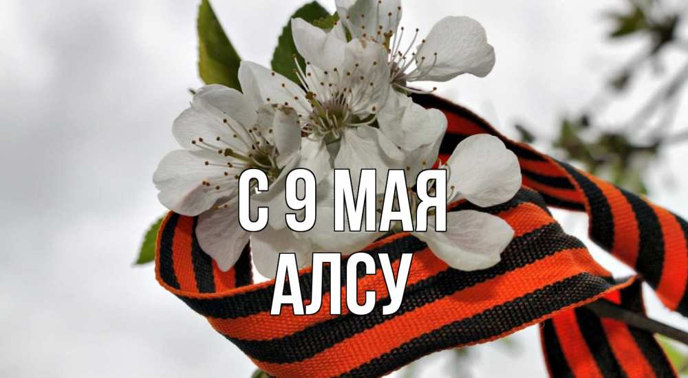 Открытка на каждый день с именем, Алсу С 9 мая 9 мая Прикольная открытка с пожеланием онлайн скачать бесплатно 