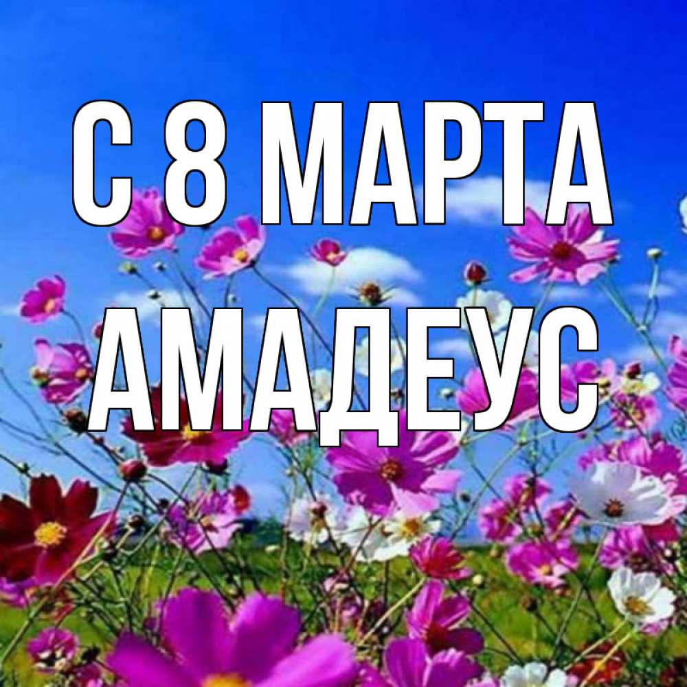 Открытка на каждый день с именем, Амадеус С 8 МАРТА цветы Прикольная открытка с пожеланием онлайн скачать бесплатно 