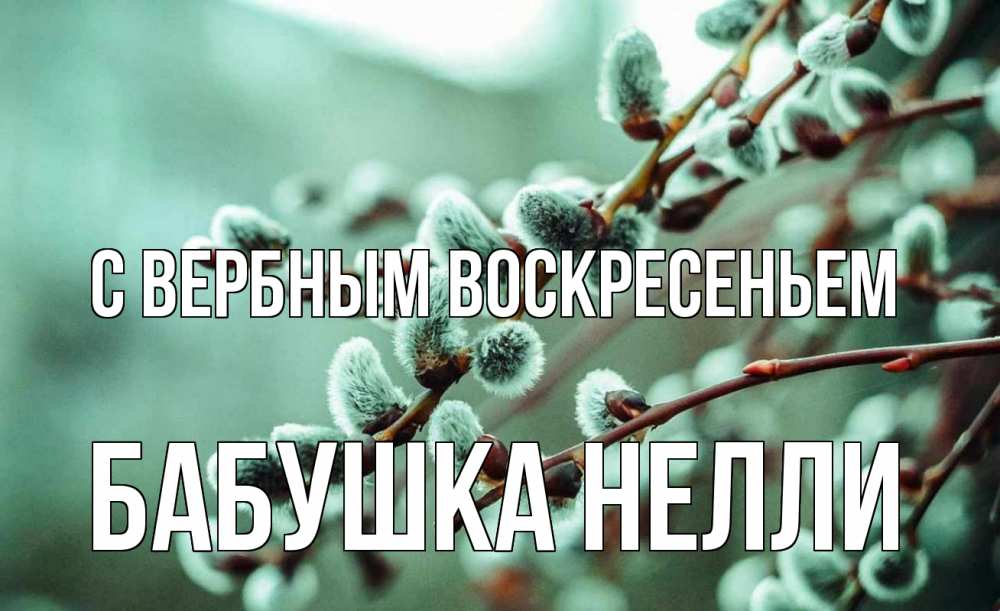 Открытка на каждый день с именем, Бабушка-Нелли С вербным воскресеньем верба Прикольная открытка с пожеланием онлайн скачать бесплатно 