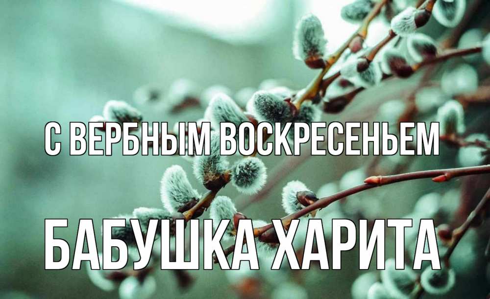Открытка на каждый день с именем, Бабушка-Харита С вербным воскресеньем верба Прикольная открытка с пожеланием онлайн скачать бесплатно 