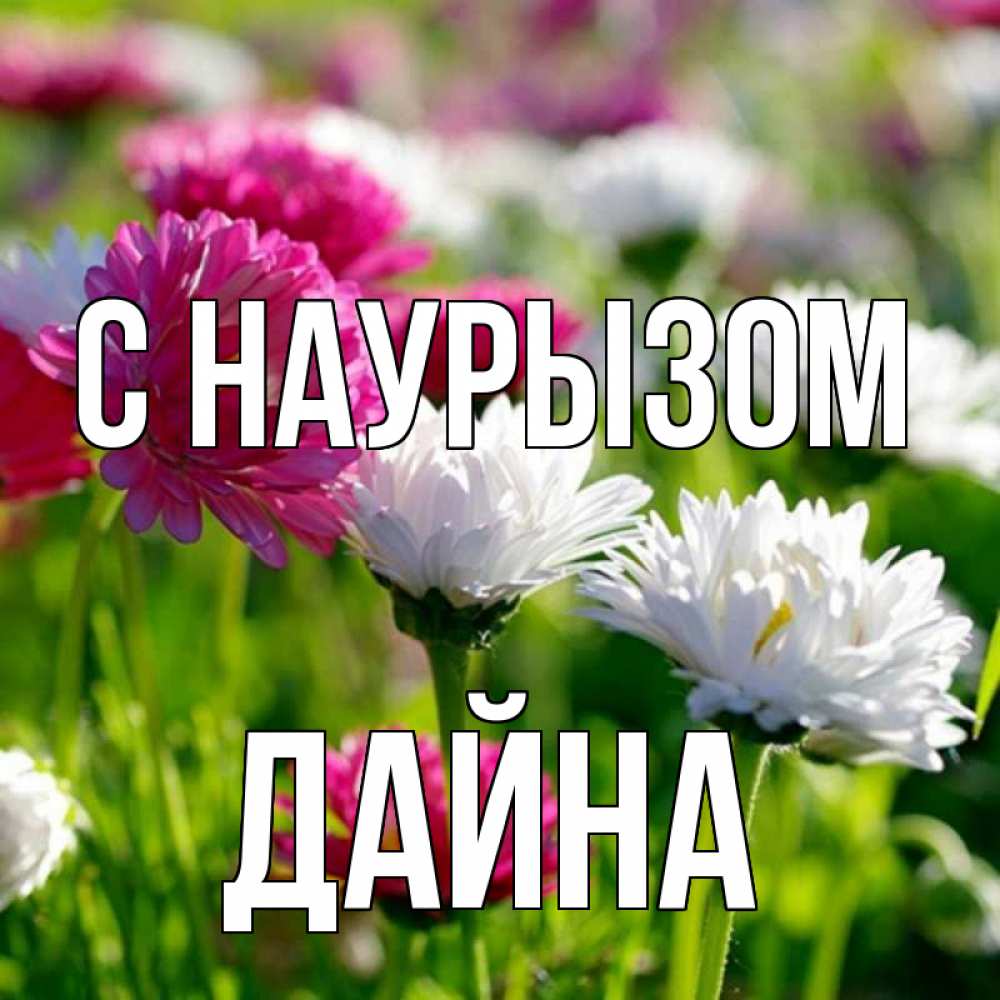 Открытка на каждый день с именем, Дайна С наурызом праздник весны наурыз красота Прикольная открытка с пожеланием онлайн скачать бесплатно 