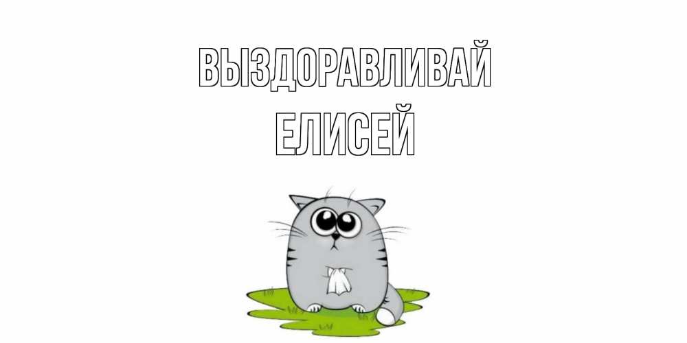 Открытка на каждый день с именем, Елисей Выздоравливай кот и открытки про выздоровление Прикольная открытка с пожеланием онлайн скачать бесплатно 