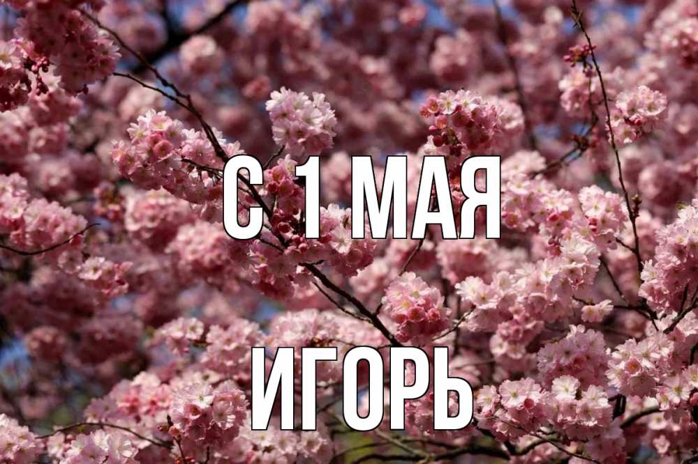 Открытка на каждый день с именем, Игорь С 1 мая С 1 мая Прикольная открытка с пожеланием онлайн скачать бесплатно 