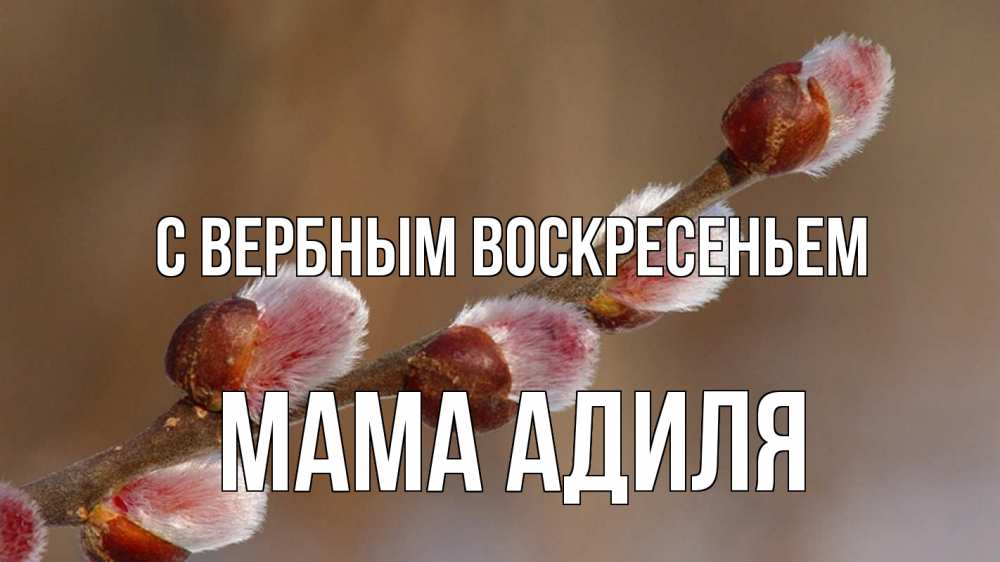 Открытка на каждый день с именем, Мама-Адиля С вербным воскресеньем верба Прикольная открытка с пожеланием онлайн скачать бесплатно 
