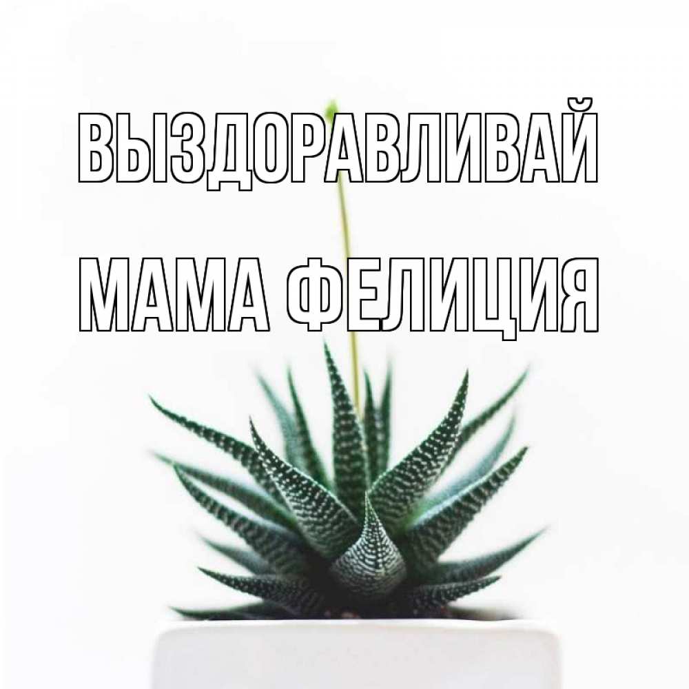 Открытка на каждый день с именем, Мама-Фелиция Выздоравливай короче это непонятная колючка Прикольная открытка с пожеланием онлайн скачать бесплатно 