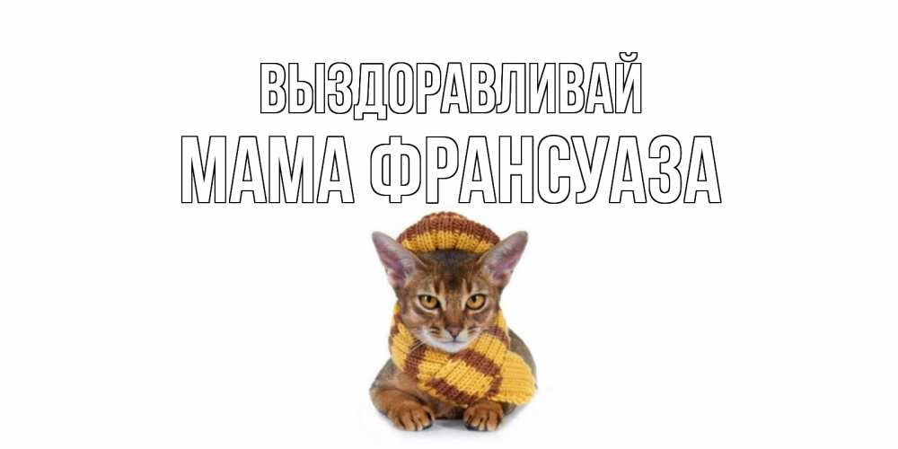 Открытка на каждый день с именем, Мама-Франсуаза Выздоравливай родные не болейте Прикольная открытка с пожеланием онлайн скачать бесплатно 