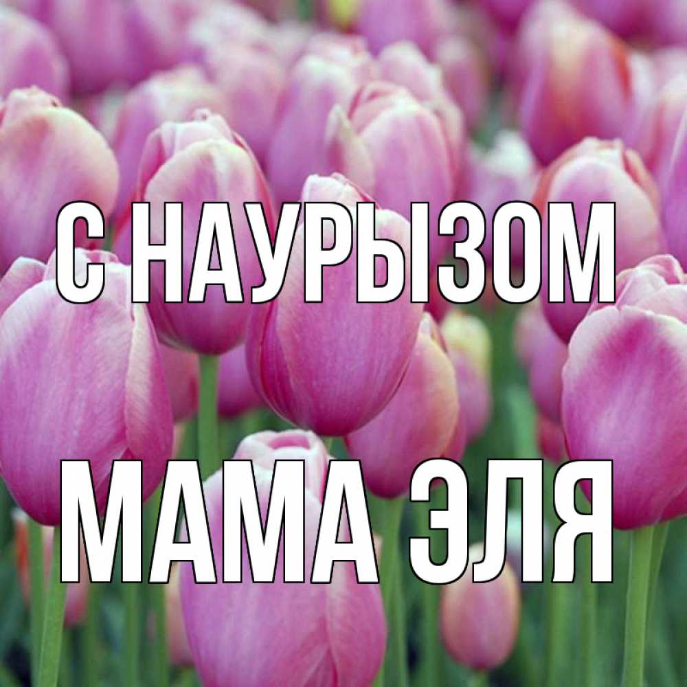 Открытка на каждый день с именем, Мама-Эля С наурызом праздник весны наурыз 69 Прикольная открытка с пожеланием онлайн скачать бесплатно 
