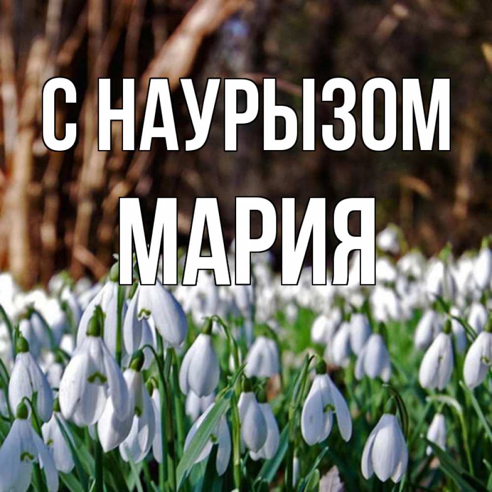 Открытка на каждый день с именем, Мария С наурызом с подснежниками 1 Прикольная открытка с пожеланием онлайн скачать бесплатно 