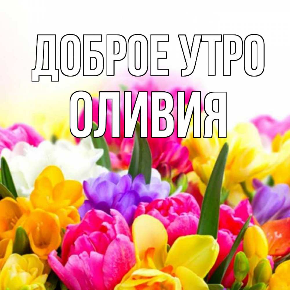 Открытка на каждый день с именем, Оливия Доброе утро создать открытку со свое подписью Прикольная открытка с пожеланием онлайн скачать бесплатно 