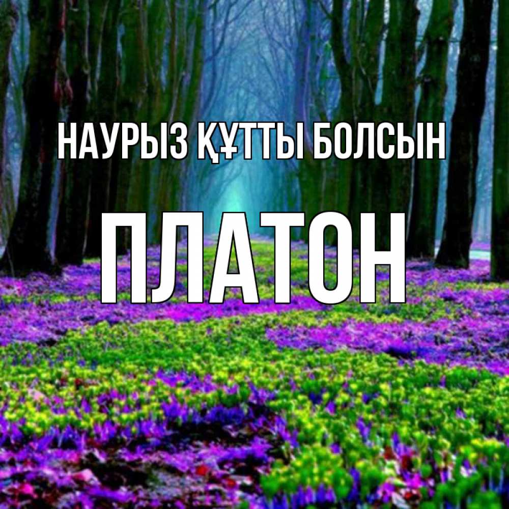 Открытка на каждый день с именем, Платон Наурыз құтты болсын фиолетовые цветы в лесу 1 Прикольная открытка с пожеланием онлайн скачать бесплатно 