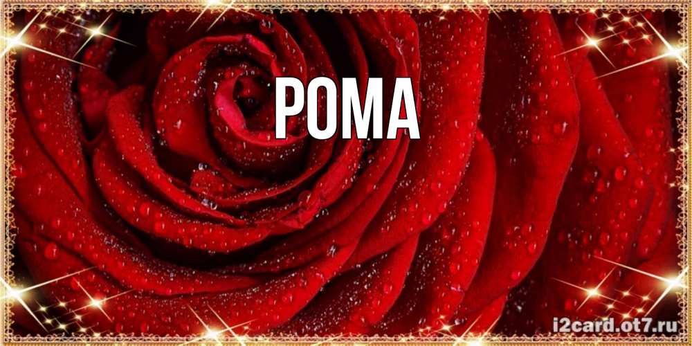 Открытка на каждый день с именем, Рома Главная роса на розе блестящая в лучах солнца Прикольная открытка с пожеланием онлайн скачать бесплатно 