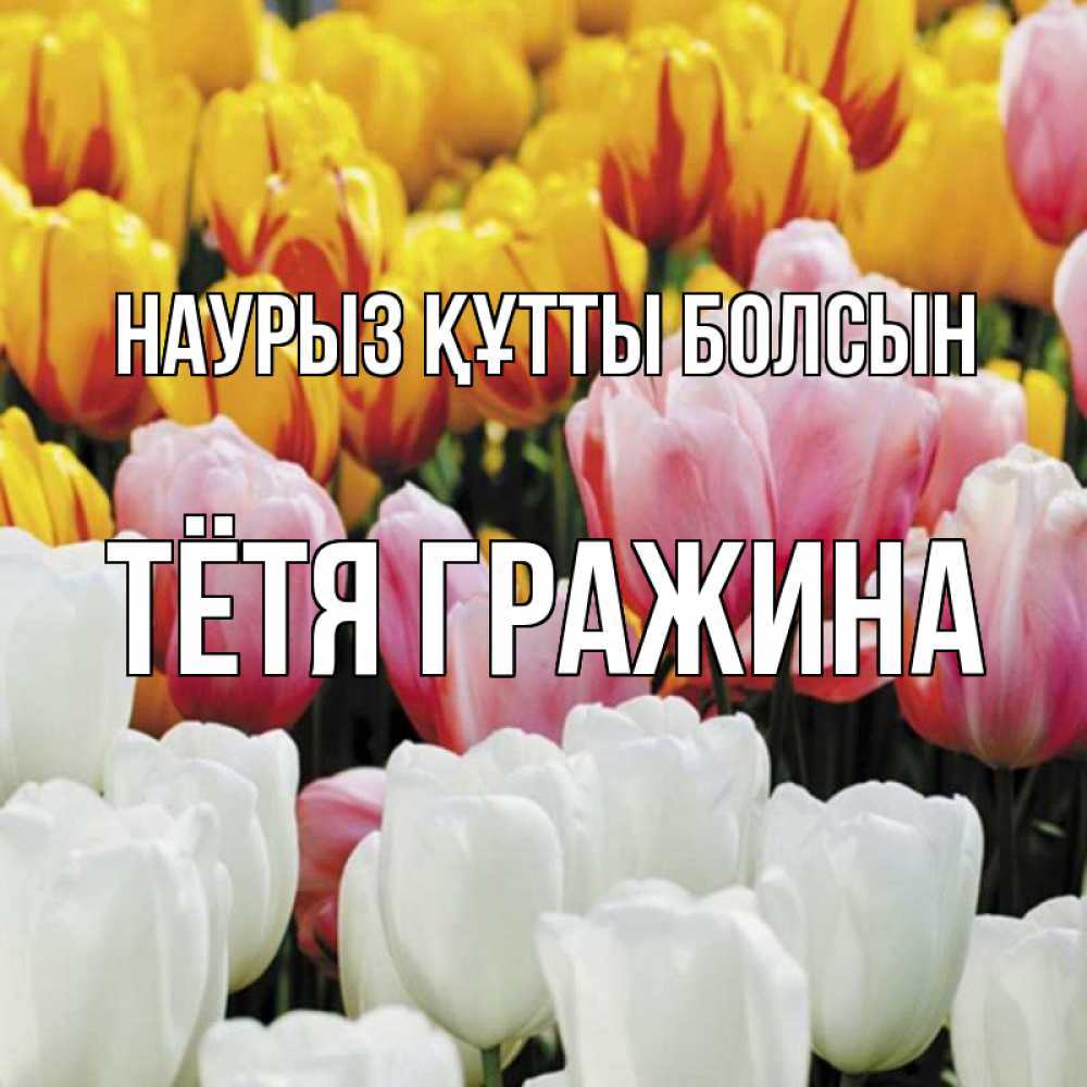 Открытка на каждый день с именем, Тётя-Гражина Наурыз құтты болсын разноцветные цветы Прикольная открытка с пожеланием онлайн скачать бесплатно 