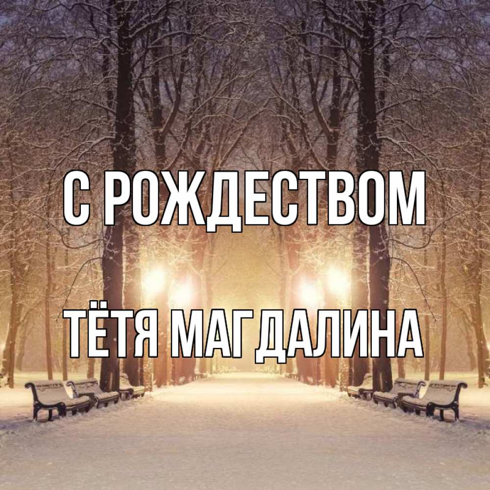Открытка на каждый день с именем, Тётя-Магдалина С рождеством зима, парк, фонарь, лес Прикольная открытка с пожеланием онлайн скачать бесплатно 