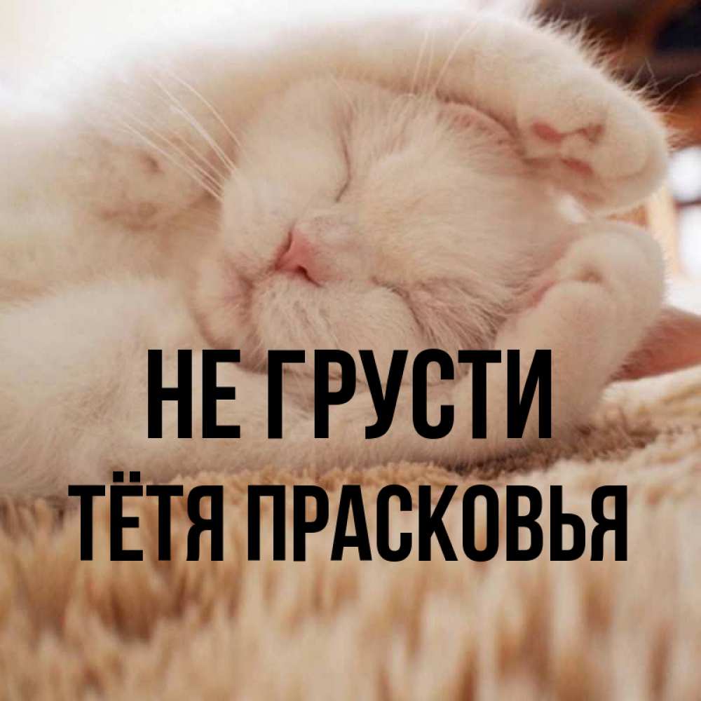 Открытка на каждый день с именем, Тётя-Прасковья Не грусти Котенок спит Прикольная открытка с пожеланием онлайн скачать бесплатно 
