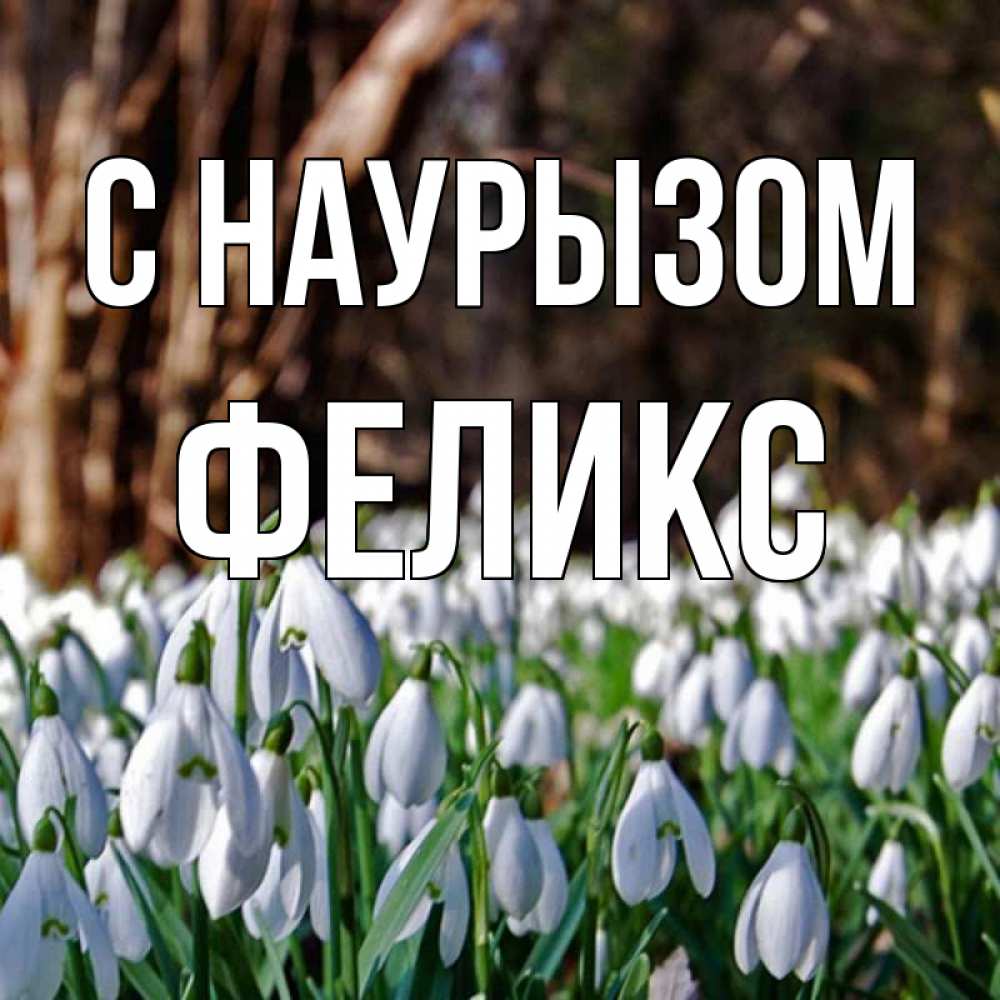 Открытка на каждый день с именем, Феликс С наурызом с подснежниками 1 Прикольная открытка с пожеланием онлайн скачать бесплатно 