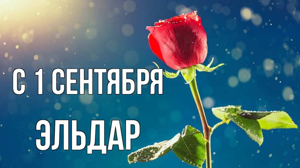 Открытка на каждый день с именем, Эльдар С 1 сентября с днем знаний Прикольная открытка с пожеланием онлайн скачать бесплатно 