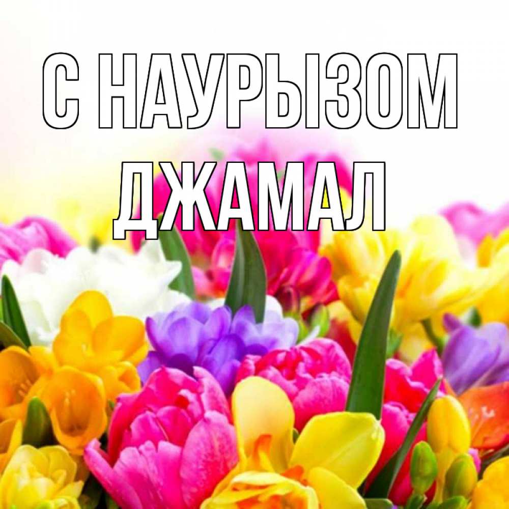 Открытка на каждый день с именем, Джамал С наурызом тюльпаны Прикольная открытка с пожеланием онлайн скачать бесплатно 