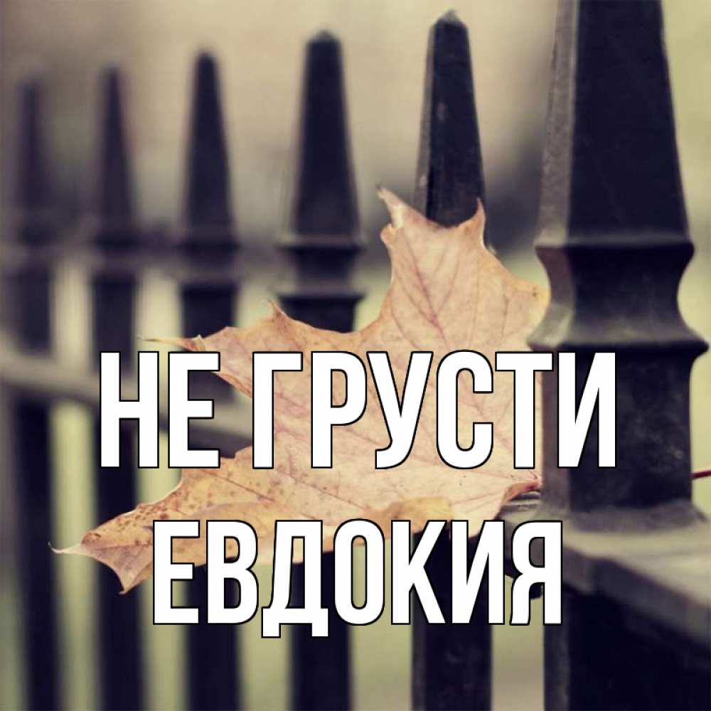 Открытка на каждый день с именем, Евдокия Не грусти лист клена Прикольная открытка с пожеланием онлайн скачать бесплатно 