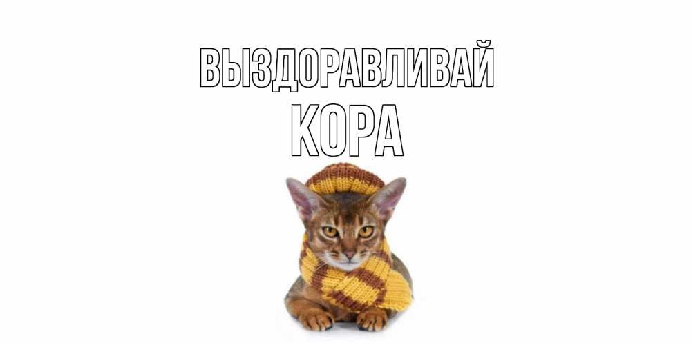 Открытка на каждый день с именем, Кора Выздоравливай родные не болейте Прикольная открытка с пожеланием онлайн скачать бесплатно 