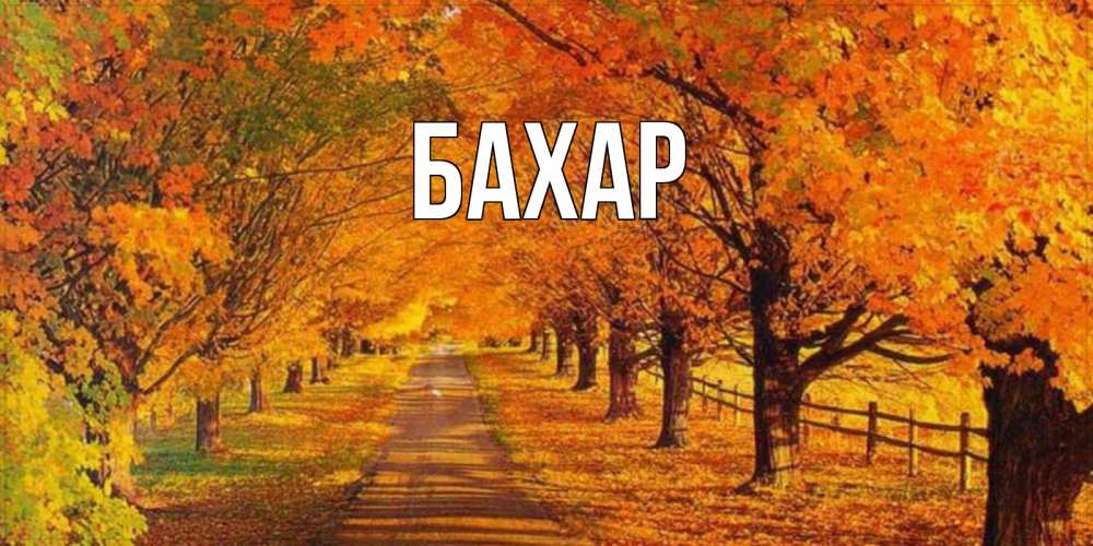 Открытка на каждый день с именем, Бахар Главная деревья с осенними листьями Прикольная открытка с пожеланием онлайн скачать бесплатно 