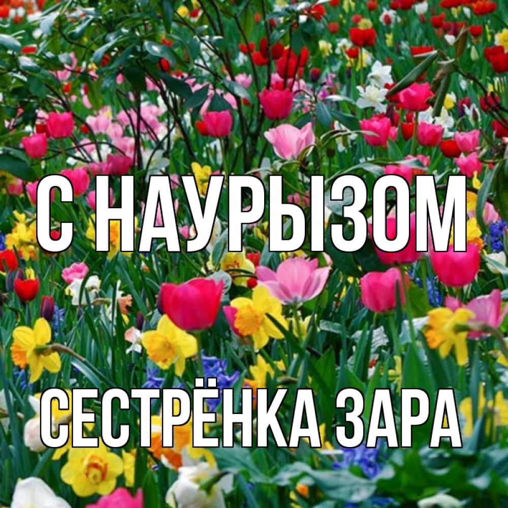 Открытка на каждый день с именем, Сестрёнка-Зара С наурызом с наурызом праздником весны поздравления для женщины Прикольная открытка с пожеланием онлайн скачать бесплатно 