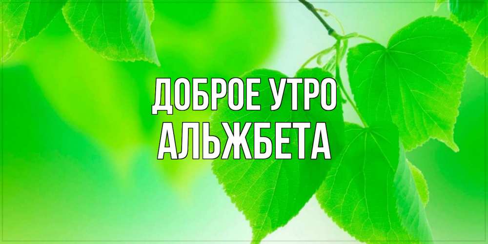 Открытка на каждый день с именем, Альжбета Доброе утро доброе утро с березовыми листьями Прикольная открытка с пожеланием онлайн скачать бесплатно 