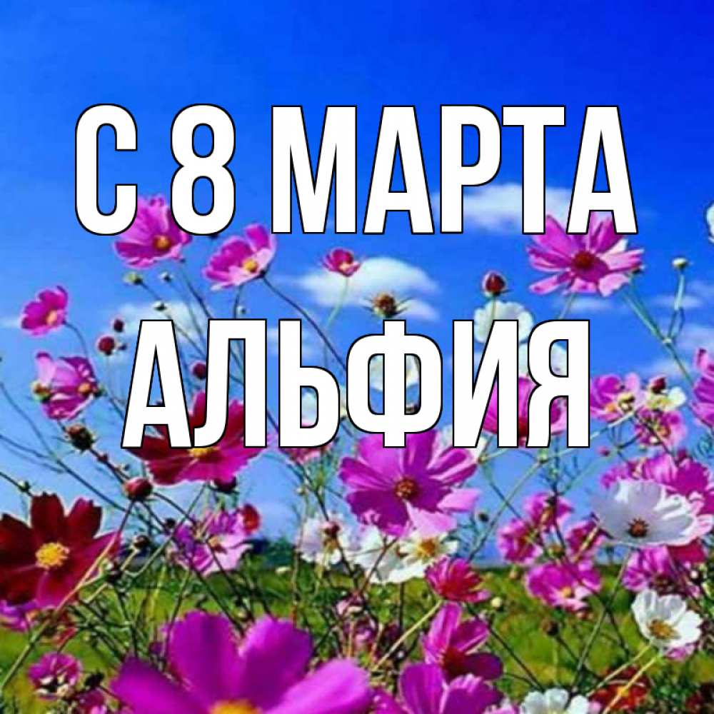Открытка на каждый день с именем, Альфия С 8 МАРТА цветы Прикольная открытка с пожеланием онлайн скачать бесплатно 
