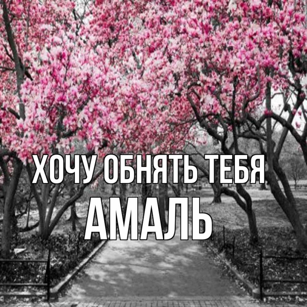 Открытка на каждый день с именем, Амаль Хочу обнять тебя обработанное фото Прикольная открытка с пожеланием онлайн скачать бесплатно 