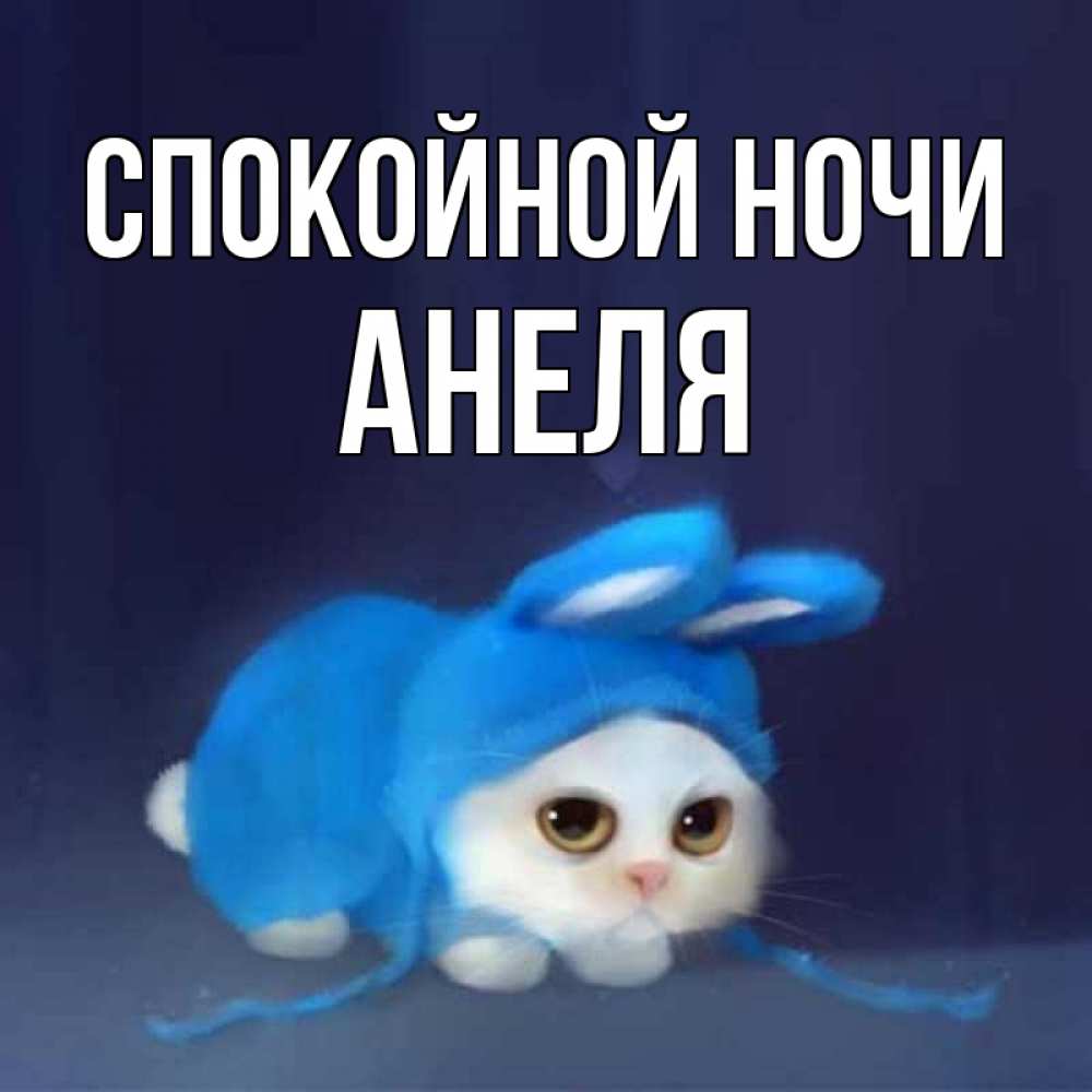 Открытка на каждый день с именем, Анеля Спокойной ночи кот в голубом костюме кролика с ушками Прикольная открытка с пожеланием онлайн скачать бесплатно 