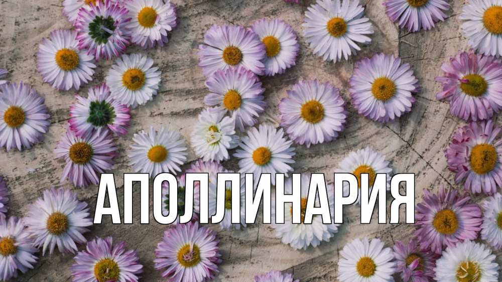 Открытка на каждый день с именем, Аполлинария Главная с днем семьи Прикольная открытка с пожеланием онлайн скачать бесплатно 