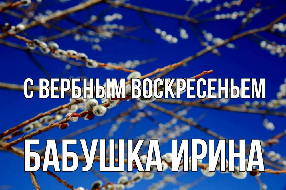 Открытка на каждый день с именем, Бабушка-Ирина С вербным воскресеньем верба Прикольная открытка с пожеланием онлайн скачать бесплатно 