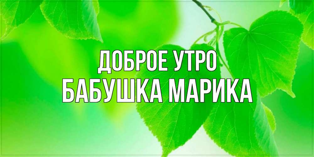 Открытка на каждый день с именем, Бабушка-Марика Доброе утро доброе утро с березовыми листьями Прикольная открытка с пожеланием онлайн скачать бесплатно 