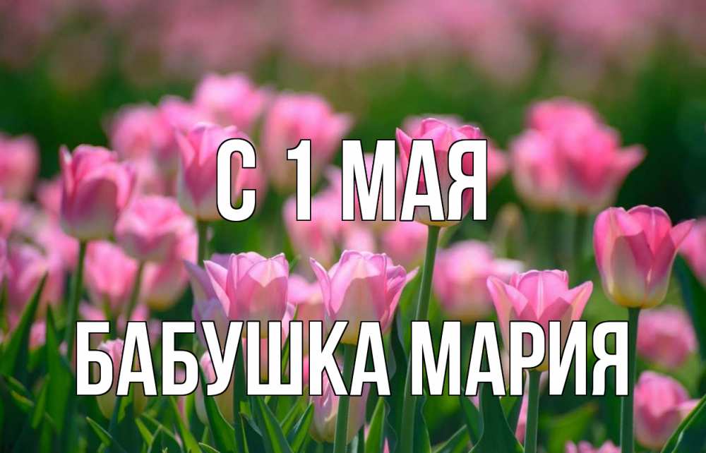 Открытка на каждый день с именем, Бабушка-Мария С 1 мая С 1 мая Прикольная открытка с пожеланием онлайн скачать бесплатно 