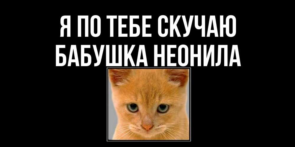 Открытка на каждый день с именем, Бабушка-Неонила Я по тебе скучаю открытки рыжий котенок скучает по тебе Прикольная открытка с пожеланием онлайн скачать бесплатно 