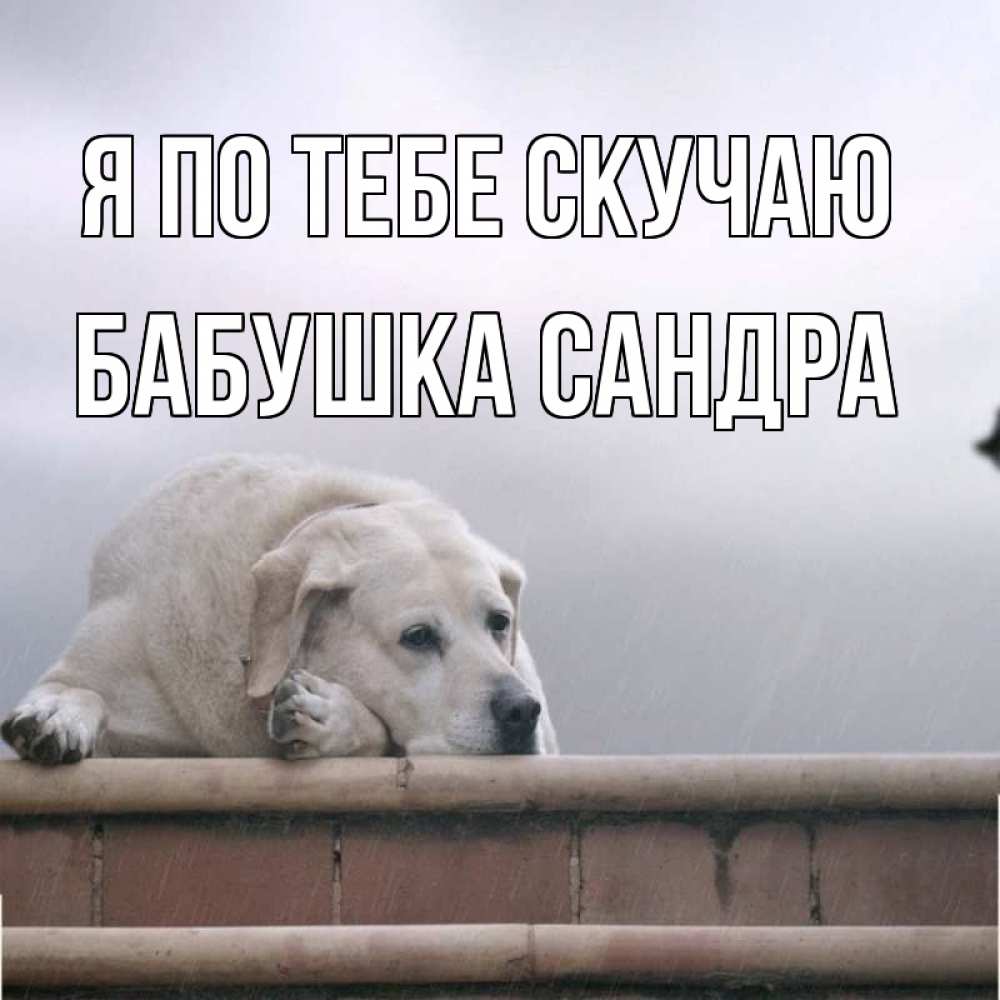 Открытка на каждый день с именем, Бабушка-Сандра Я по тебе скучаю ждет Прикольная открытка с пожеланием онлайн скачать бесплатно 
