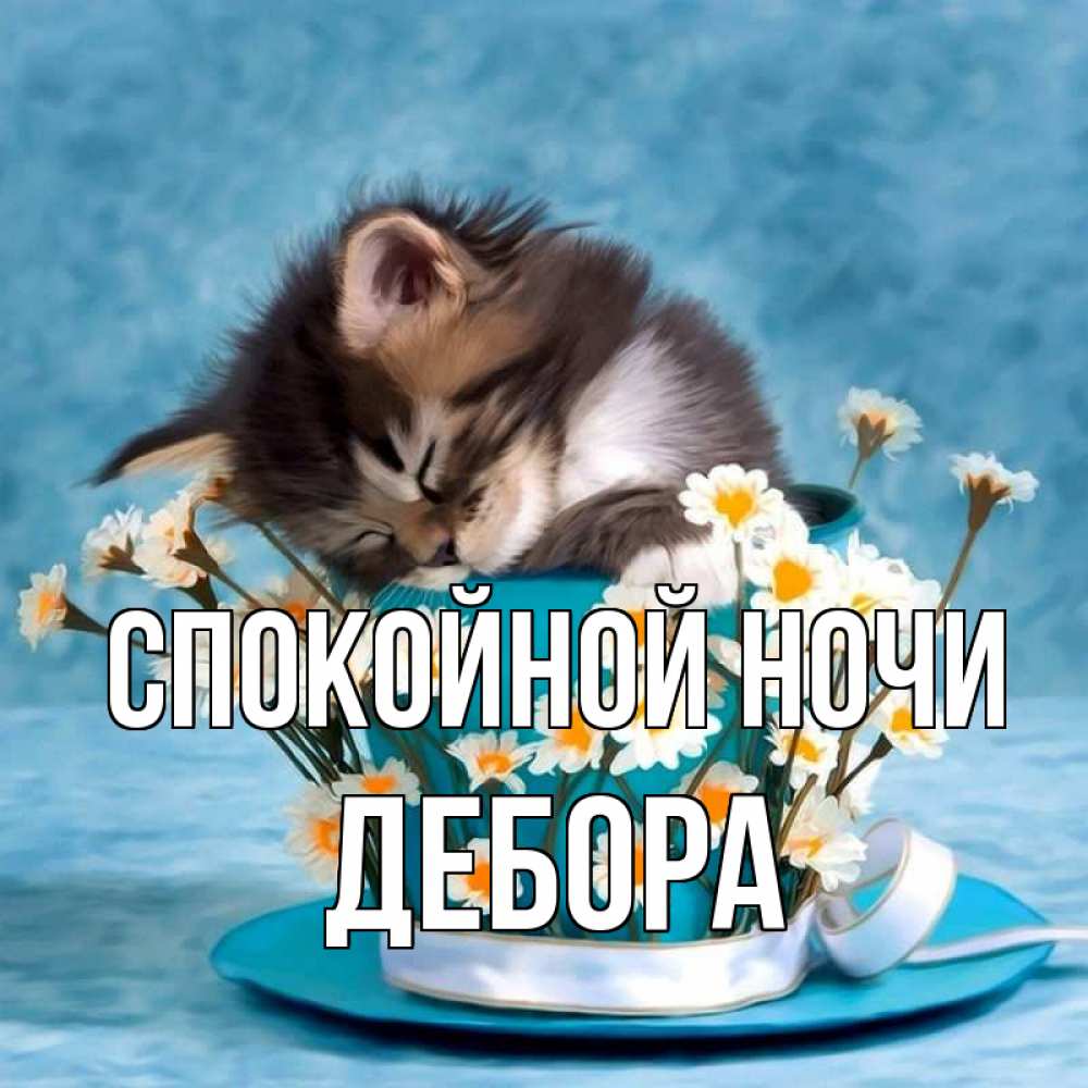 Открытка на каждый день с именем, Дебора Спокойной ночи котенок спит в кружке с блюдцем Прикольная открытка с пожеланием онлайн скачать бесплатно 