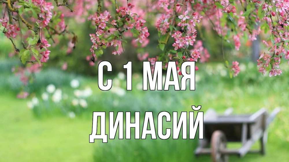 Открытка на каждый день с именем, Динасий С 1 мая С 1 мая Прикольная открытка с пожеланием онлайн скачать бесплатно 