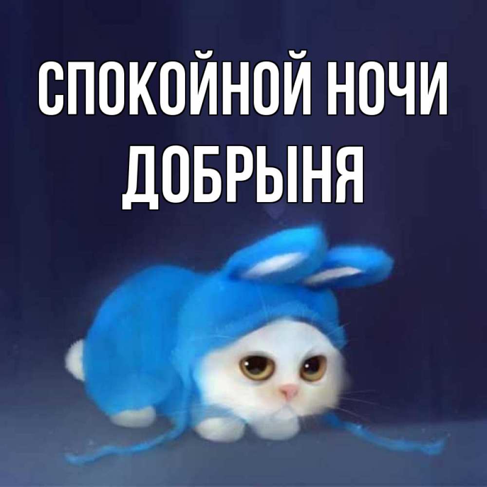 Открытка на каждый день с именем, Добрыня Спокойной ночи кот в голубом костюме кролика с ушками Прикольная открытка с пожеланием онлайн скачать бесплатно 