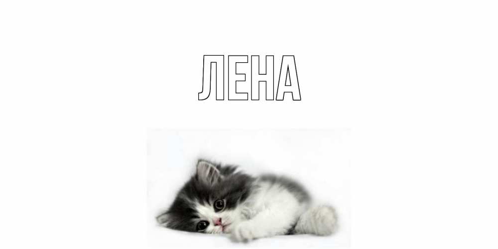 Открытка на каждый день с именем, Лена Главная кот, скука Прикольная открытка с пожеланием онлайн скачать бесплатно 
