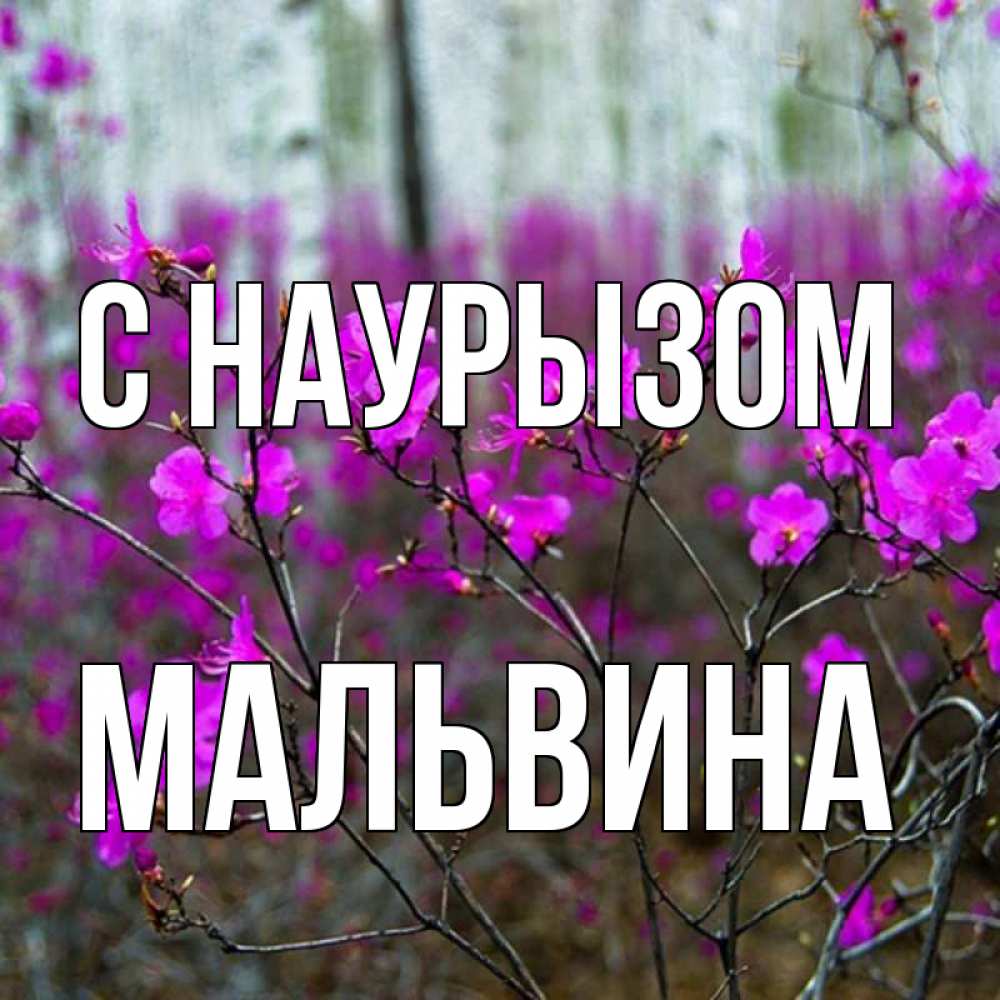Открытка на каждый день с именем, Мальвина С наурызом дикие цветы Прикольная открытка с пожеланием онлайн скачать бесплатно 
