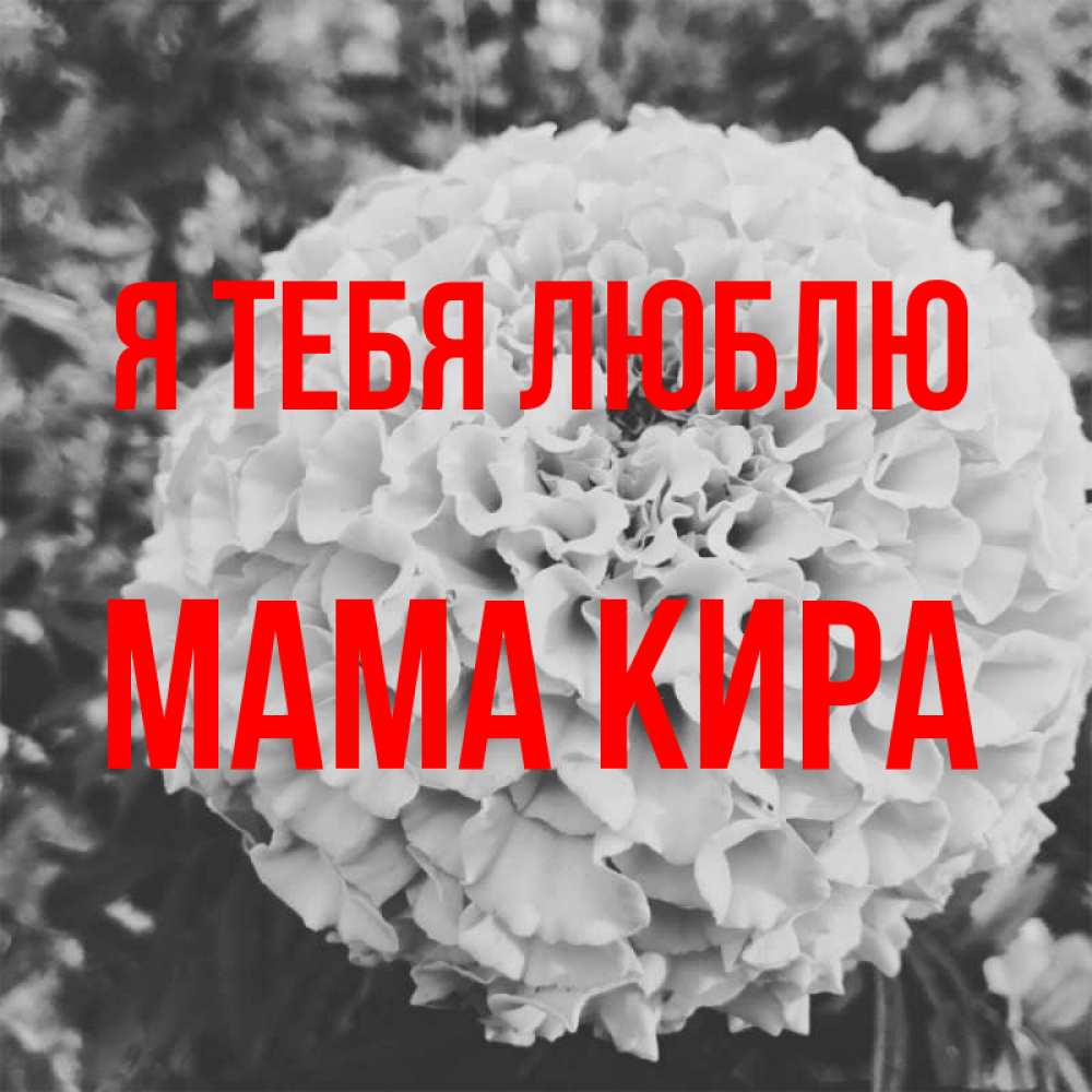 Открытка на каждый день с именем, Мама-Кира Я тебя люблю подпись Прикольная открытка с пожеланием онлайн скачать бесплатно 