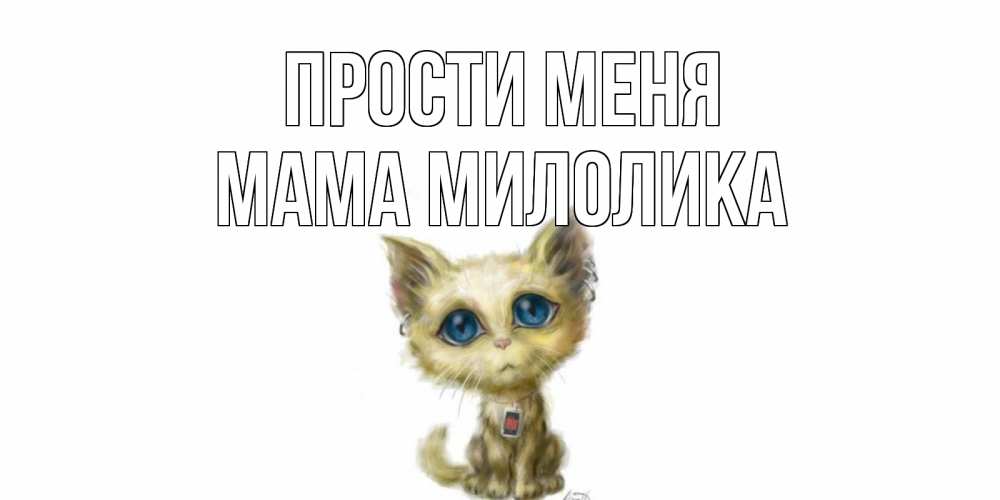 Открытка на каждый день с именем, Мама-Милолика Прости меня прости меня открытка с котиком Прикольная открытка с пожеланием онлайн скачать бесплатно 