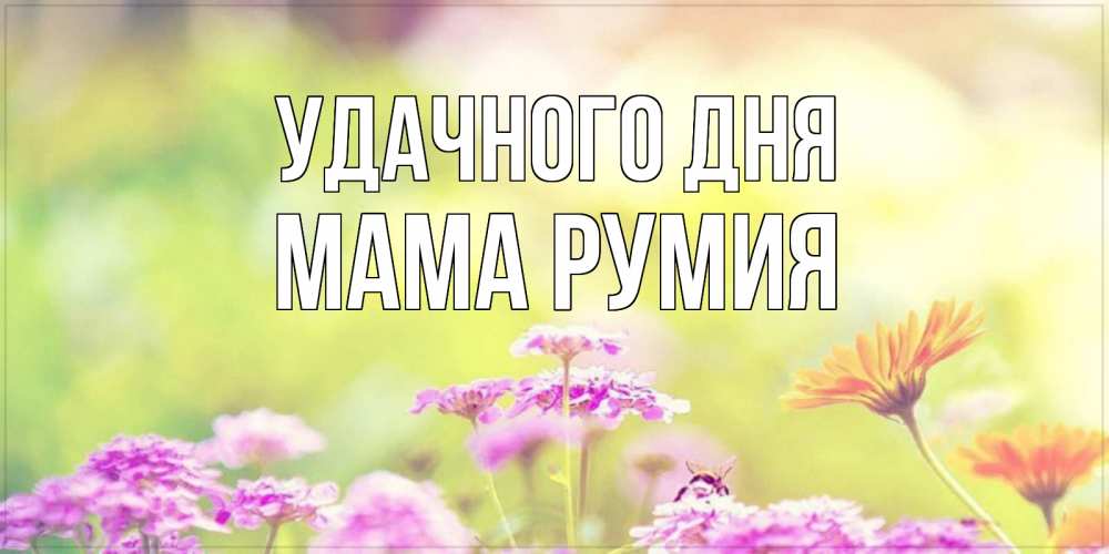 Открытка на каждый день с именем, Мама-Румия Удачного дня красивая открытка с летней темой Прикольная открытка с пожеланием онлайн скачать бесплатно 