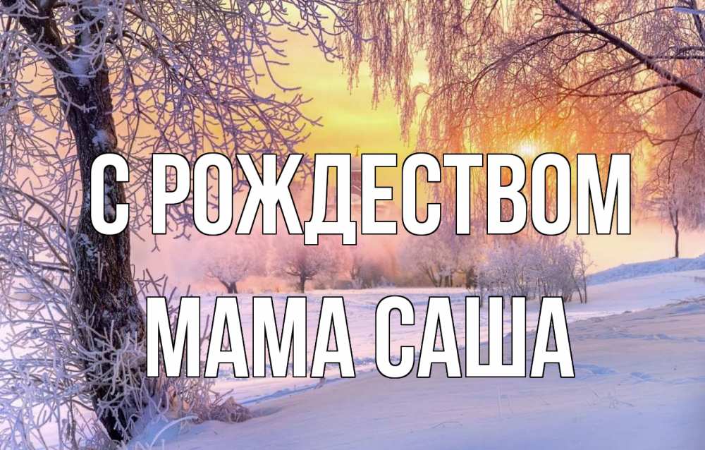 Открытка на каждый день с именем, Мама-Саша С рождеством рождество, лес, зима 1 Прикольная открытка с пожеланием онлайн скачать бесплатно 