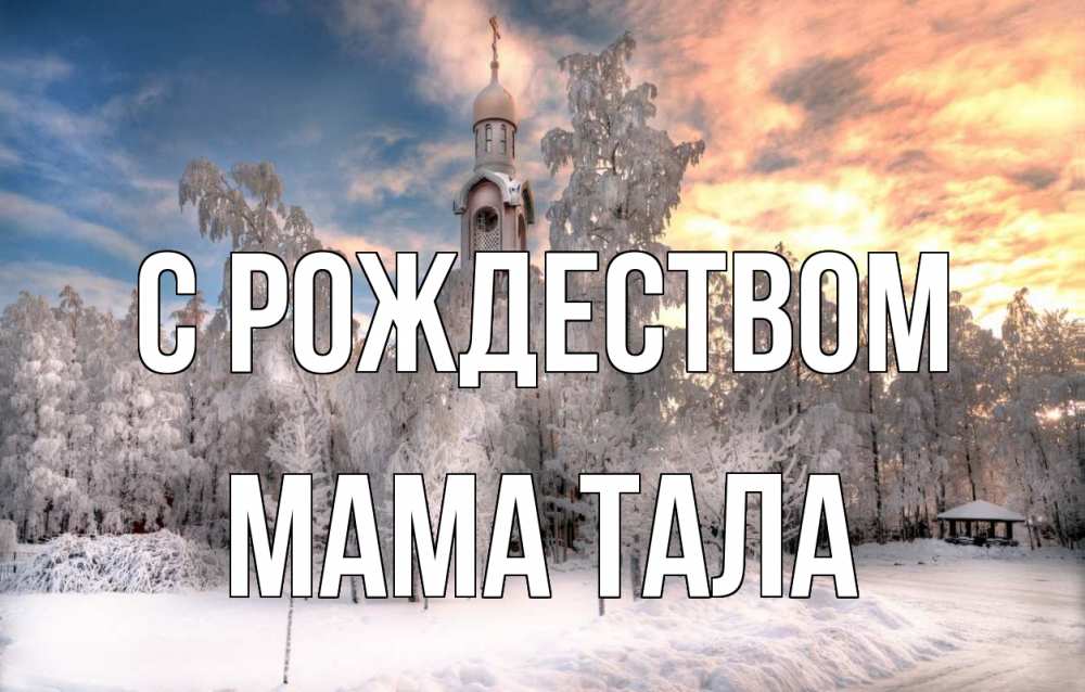 Открытка на каждый день с именем, Мама-Тала С рождеством лес, зима 2 Прикольная открытка с пожеланием онлайн скачать бесплатно 