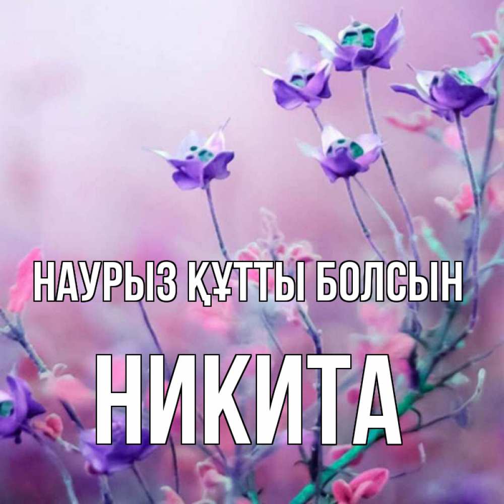 Открытка на каждый день с именем, Никита Наурыз құтты болсын наурыз  2 Прикольная открытка с пожеланием онлайн скачать бесплатно 