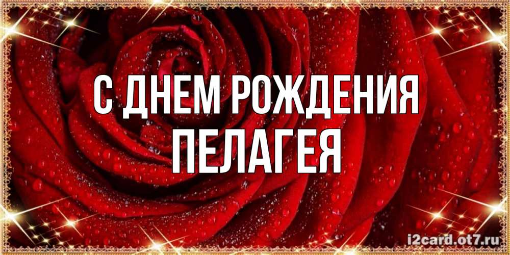 Открытка на каждый день с именем, Пелагея С днем рождения роса на розе блестящая в лучах солнца Прикольная открытка с пожеланием онлайн скачать бесплатно 