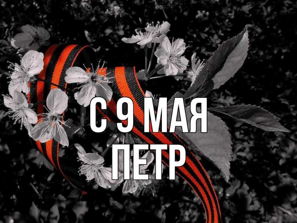Открытка на каждый день с именем, Петр С 9 мая 9 мая Прикольная открытка с пожеланием онлайн скачать бесплатно 