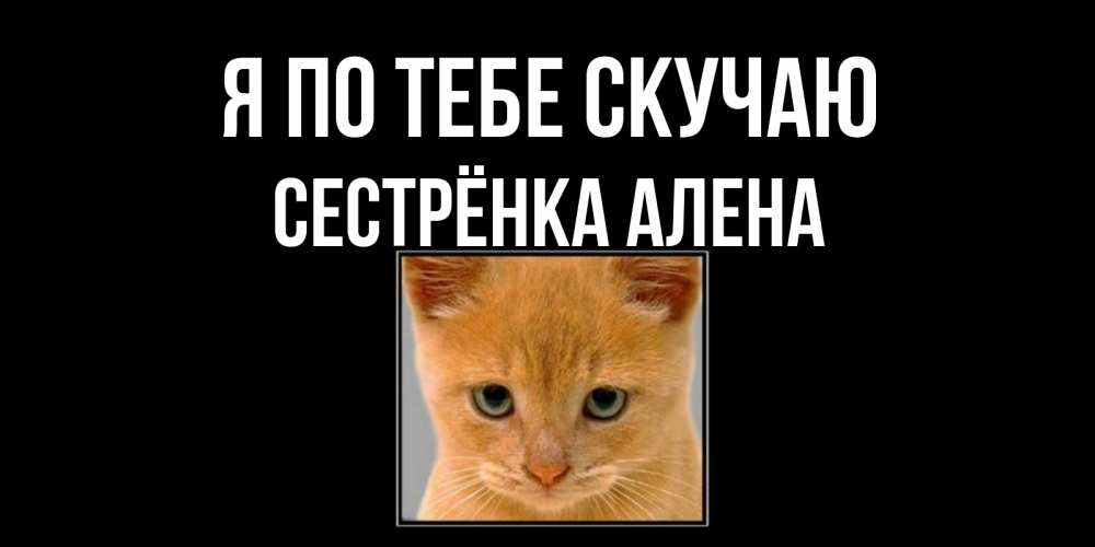 Открытка на каждый день с именем, Сестрёнка-Алена Я по тебе скучаю открытки рыжий котенок скучает по тебе Прикольная открытка с пожеланием онлайн скачать бесплатно 