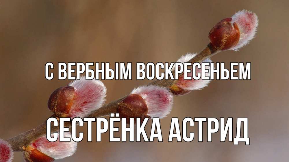Открытка на каждый день с именем, Сестрёнка-Астрид С вербным воскресеньем верба Прикольная открытка с пожеланием онлайн скачать бесплатно 